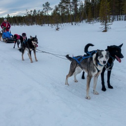 finnland rundreise 2025_76